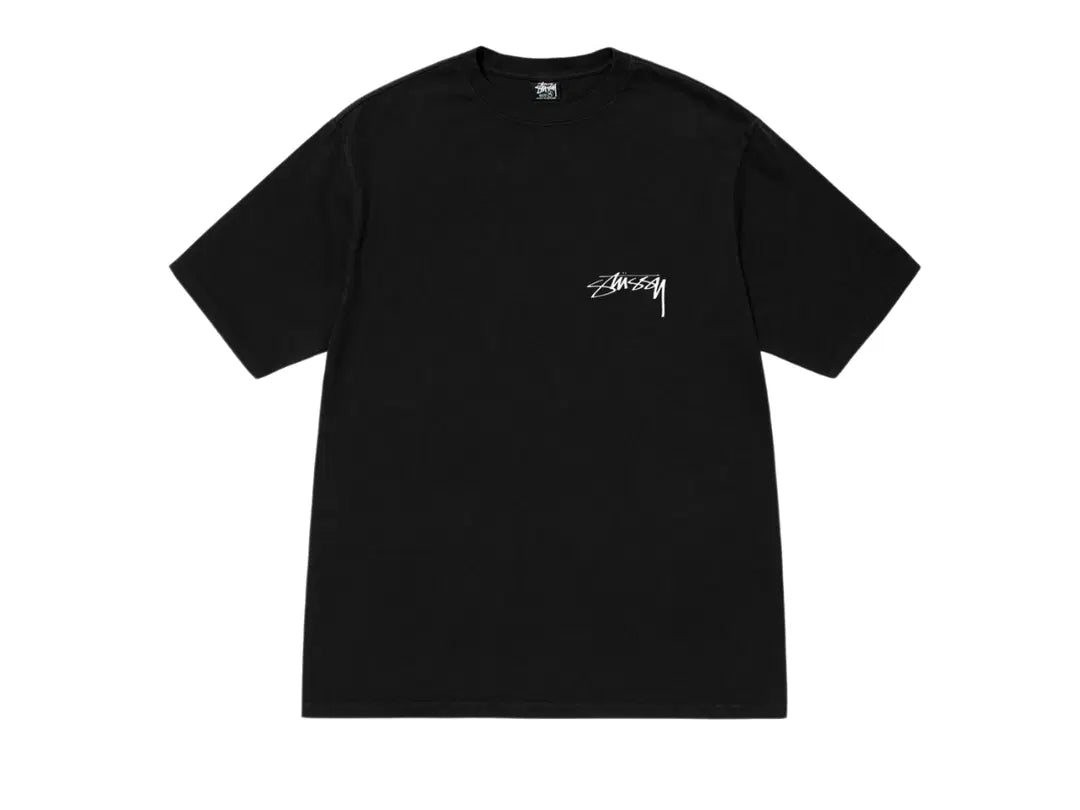 Image of Stussy Arachnid Pigment Dyed Tee 